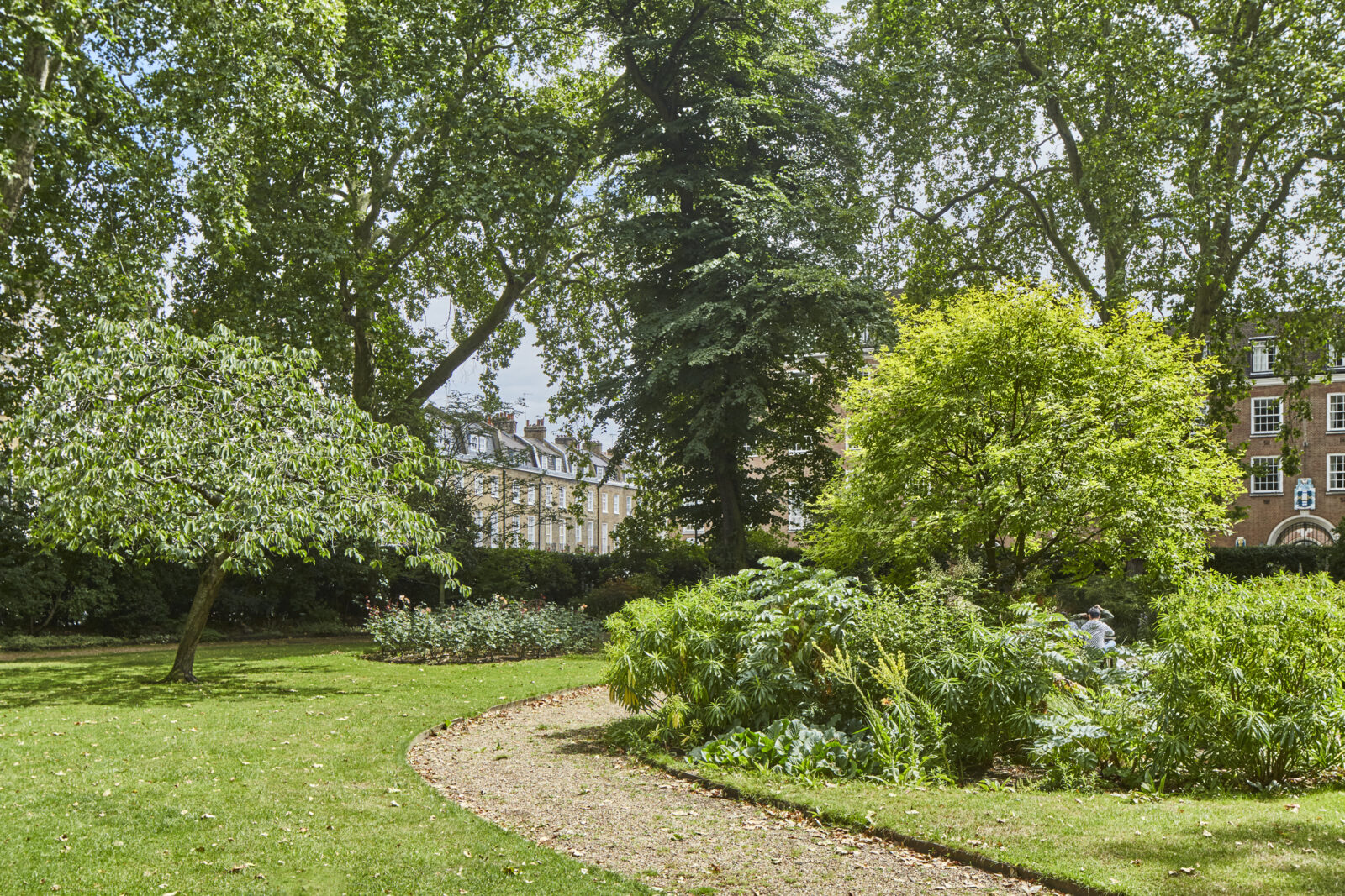 Mecklenburgh Square - Image 5