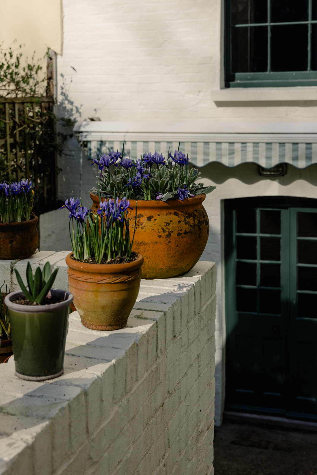 Roughdown Villas - Image 4