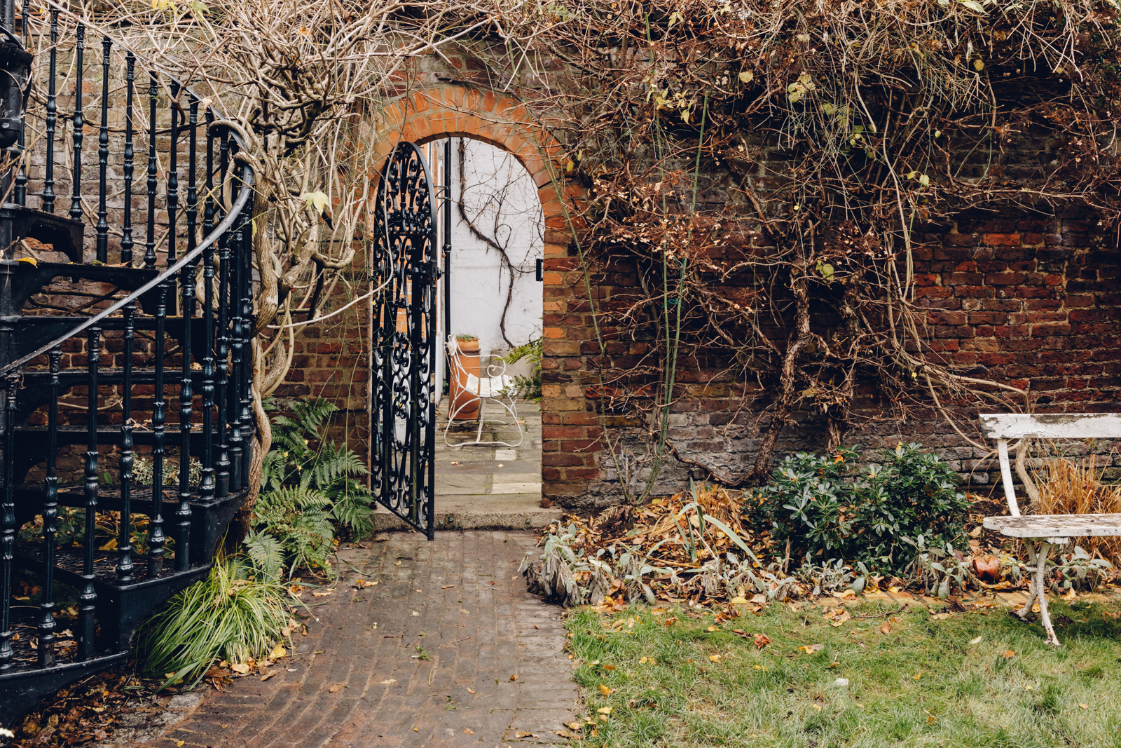 Frognal - Image 5
