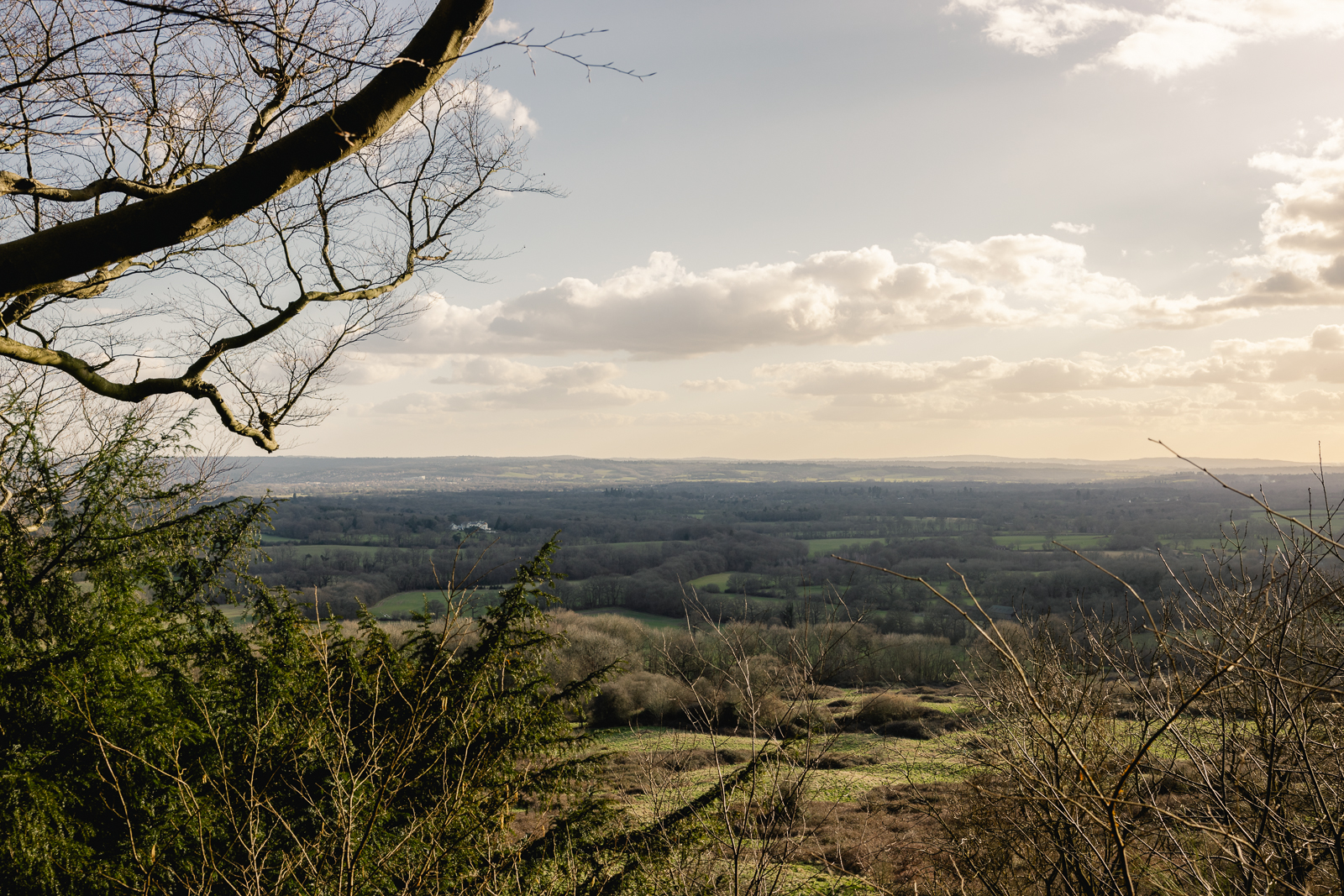 Mote Road - Image 3