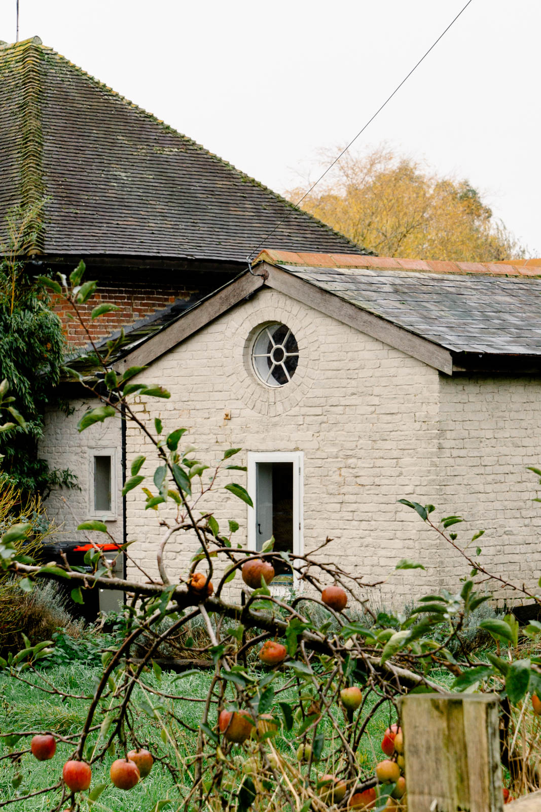 Island Road - Image 4
