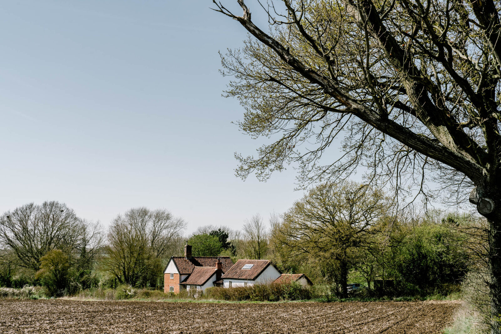 Pockthorpe Lane - Image 2