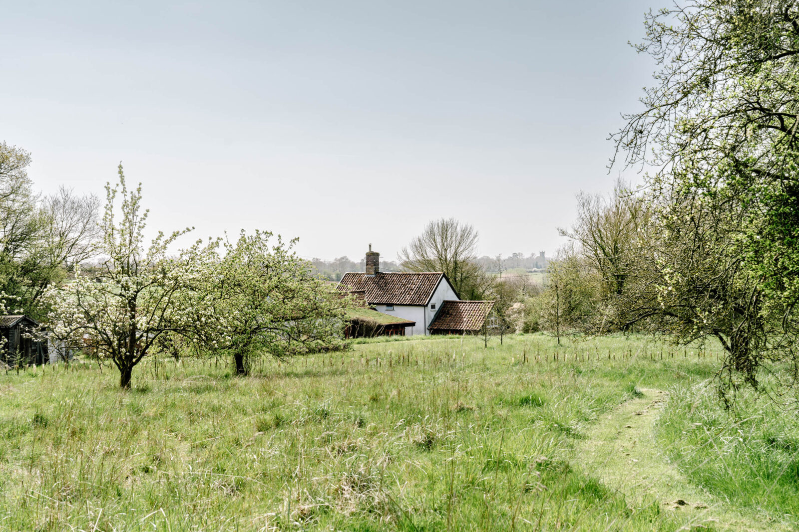 Pockthorpe Lane - Image 3