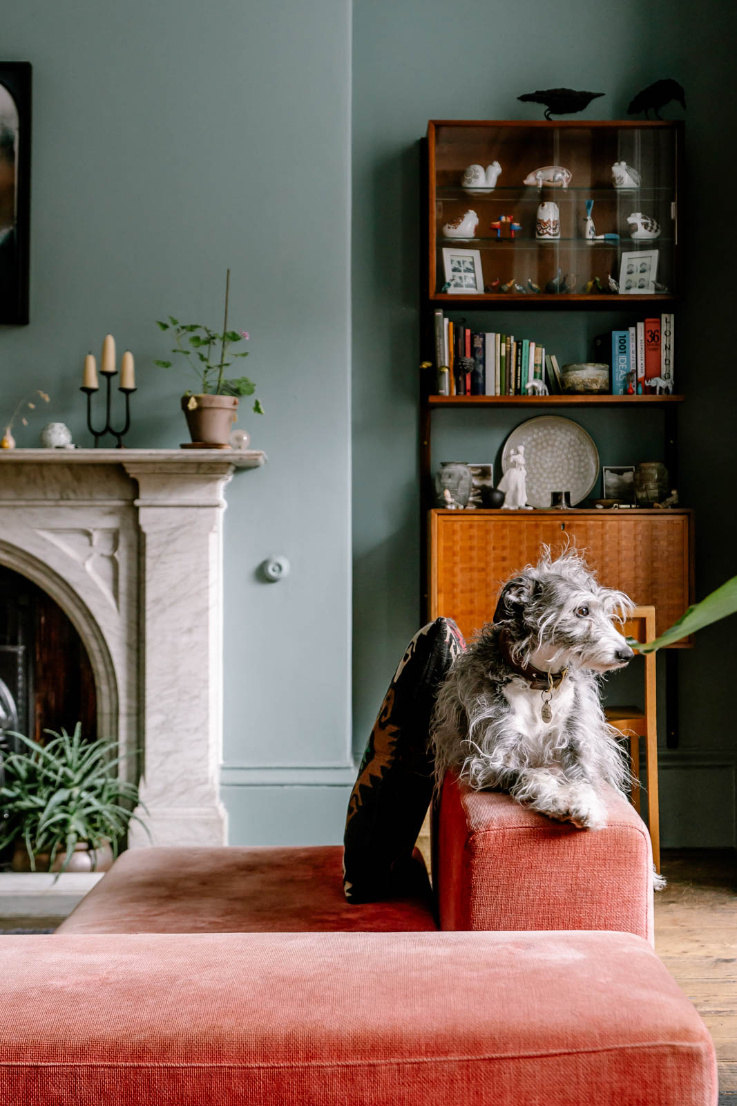Canning Street - Image 4