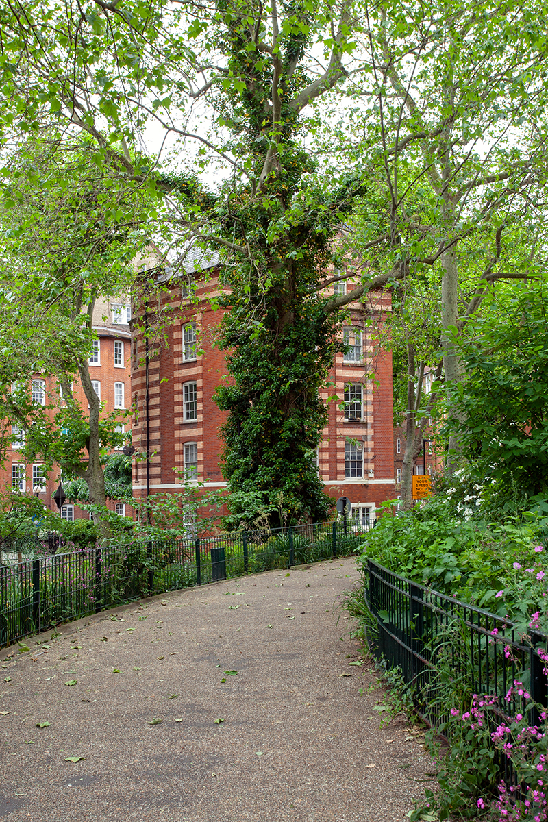 Taplow House - Image 5