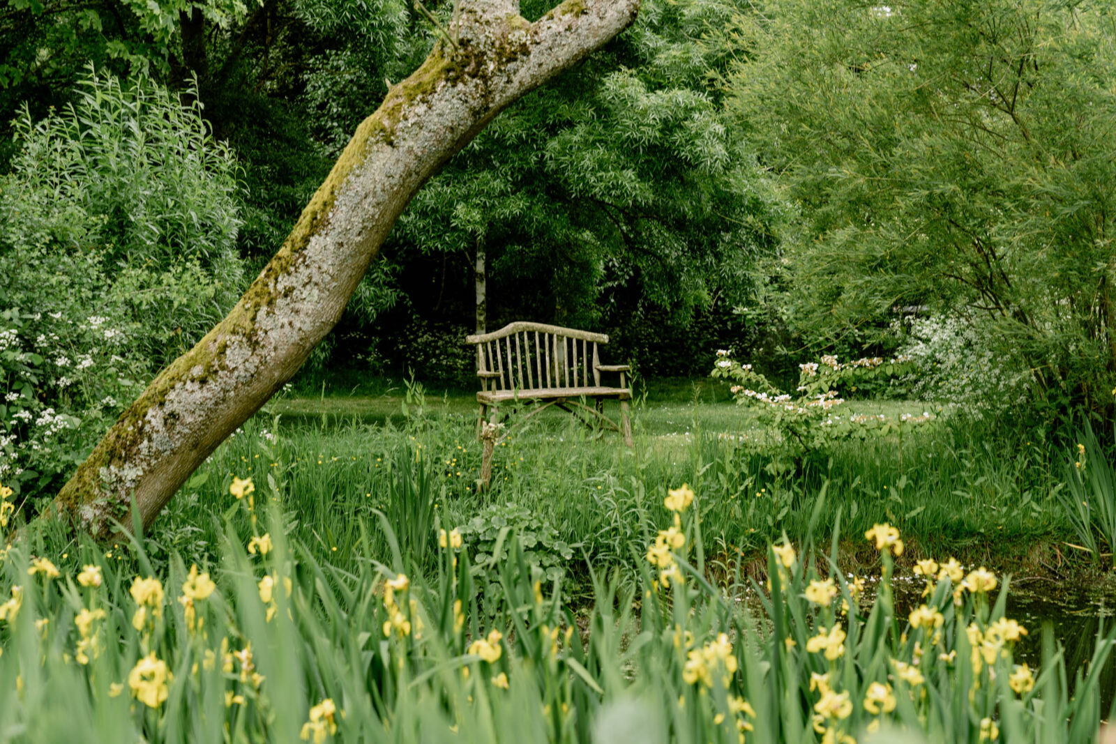 Old Forge Lane - Image 2