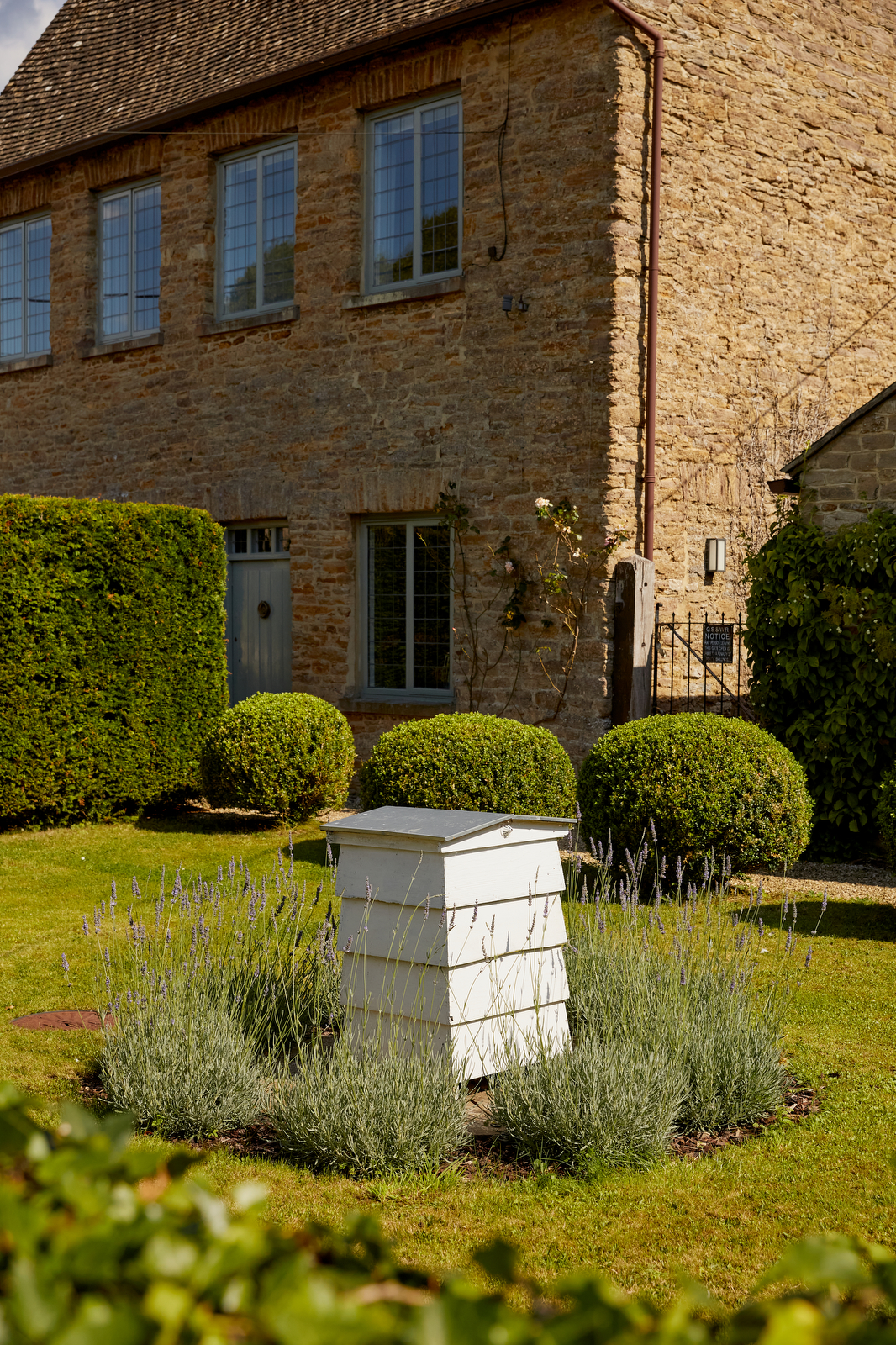 Wisteria House - Image 5