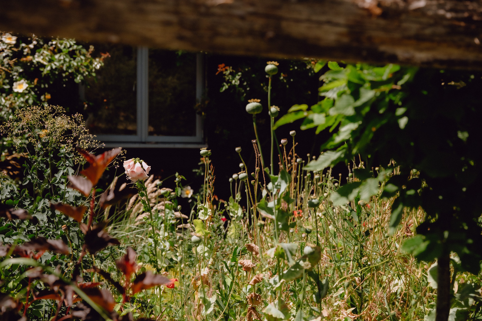 How My Garden Grows: All episodes