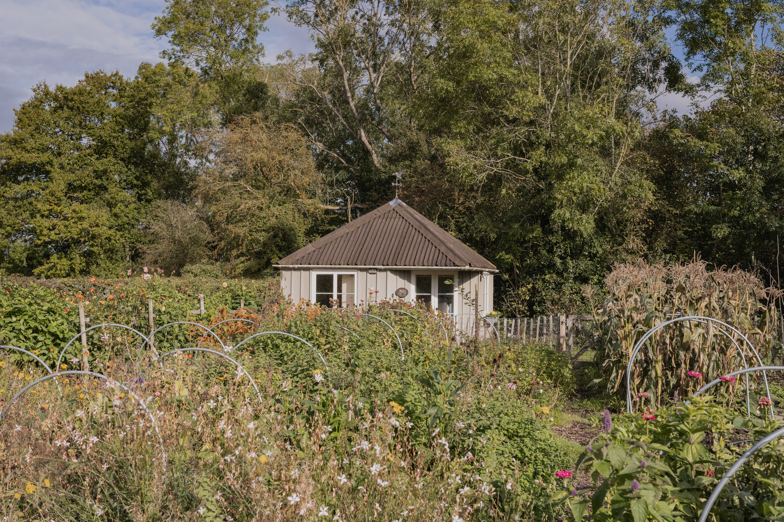 Beekeeper's Cottage - Image 3