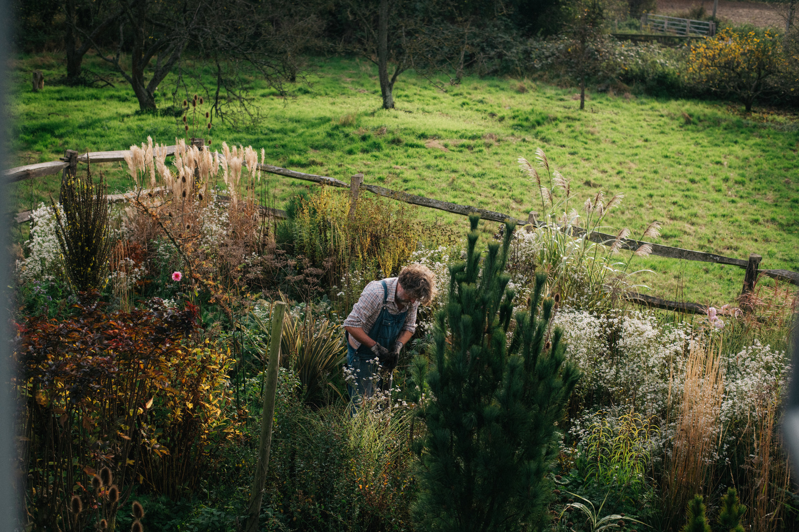 How My Garden Grows: a magical Japanese-inspired conifer garden in the middle of nowhere