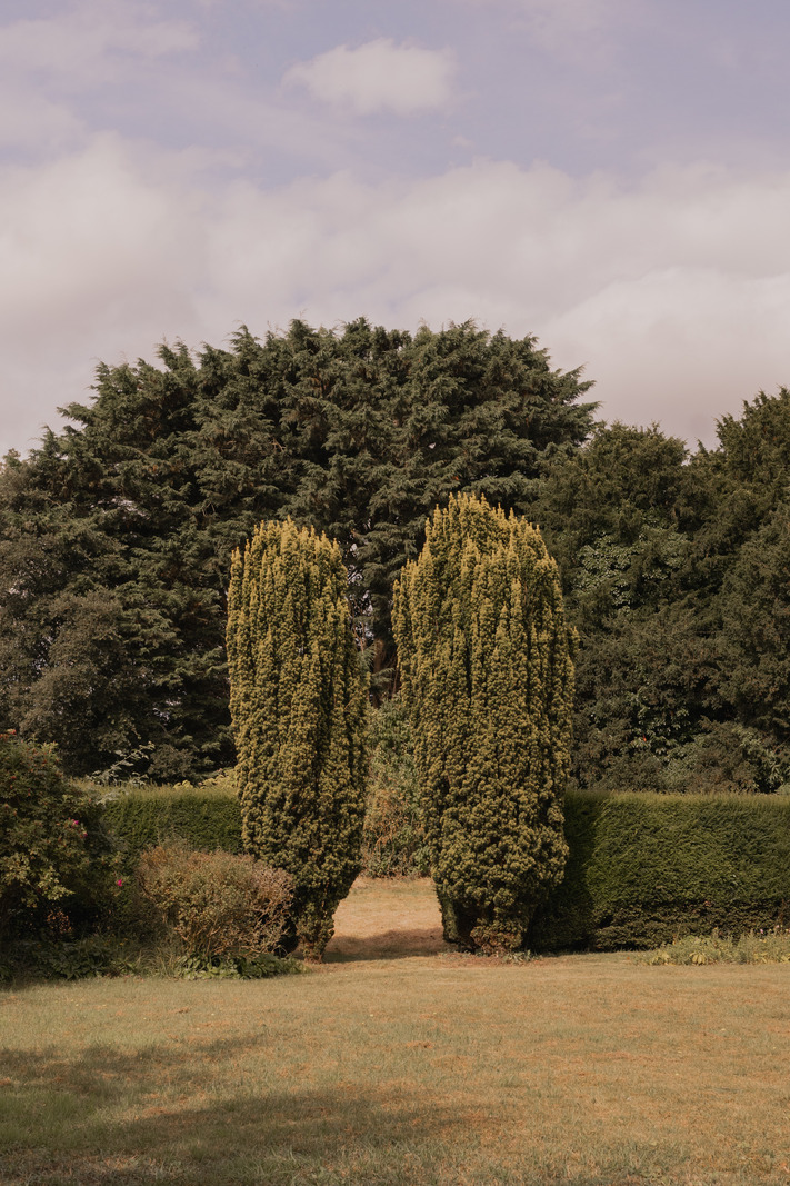 The Manor House - Image 5