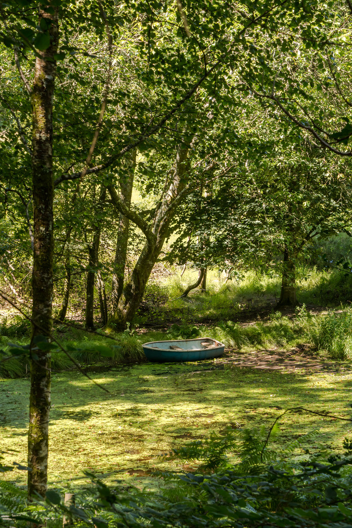 Hale Farmhouse - Image 5