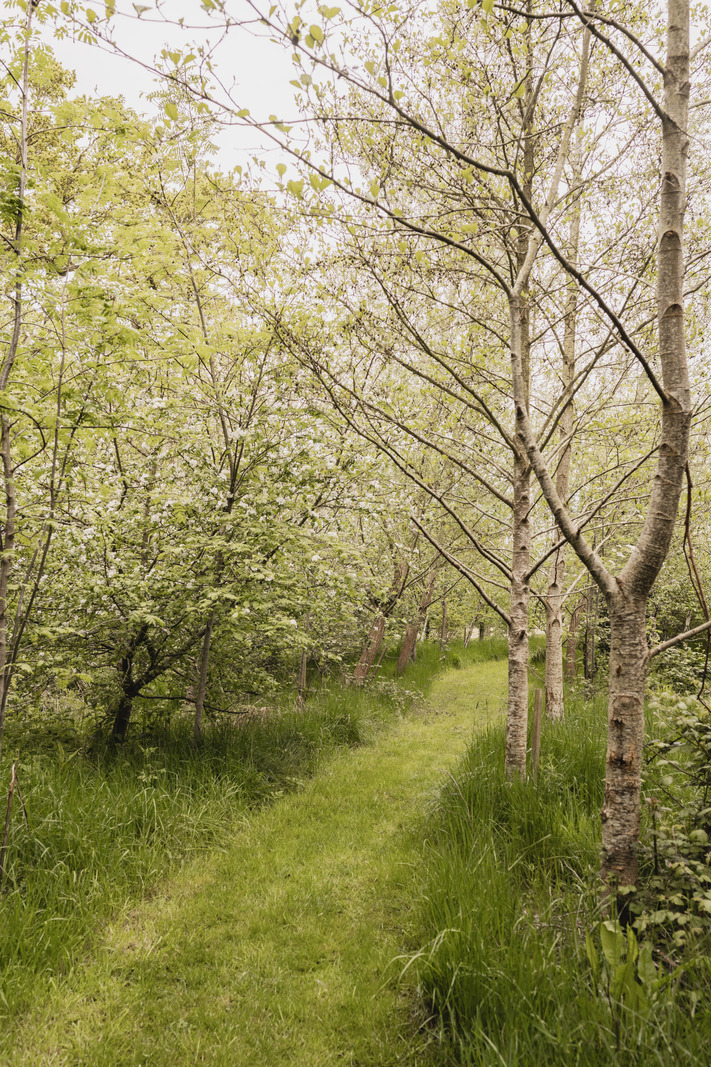 Green Street - Image 4
