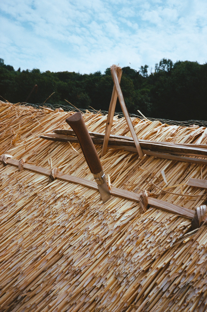 The Crafted Home: climbing high with master thatcher Tom Allan
