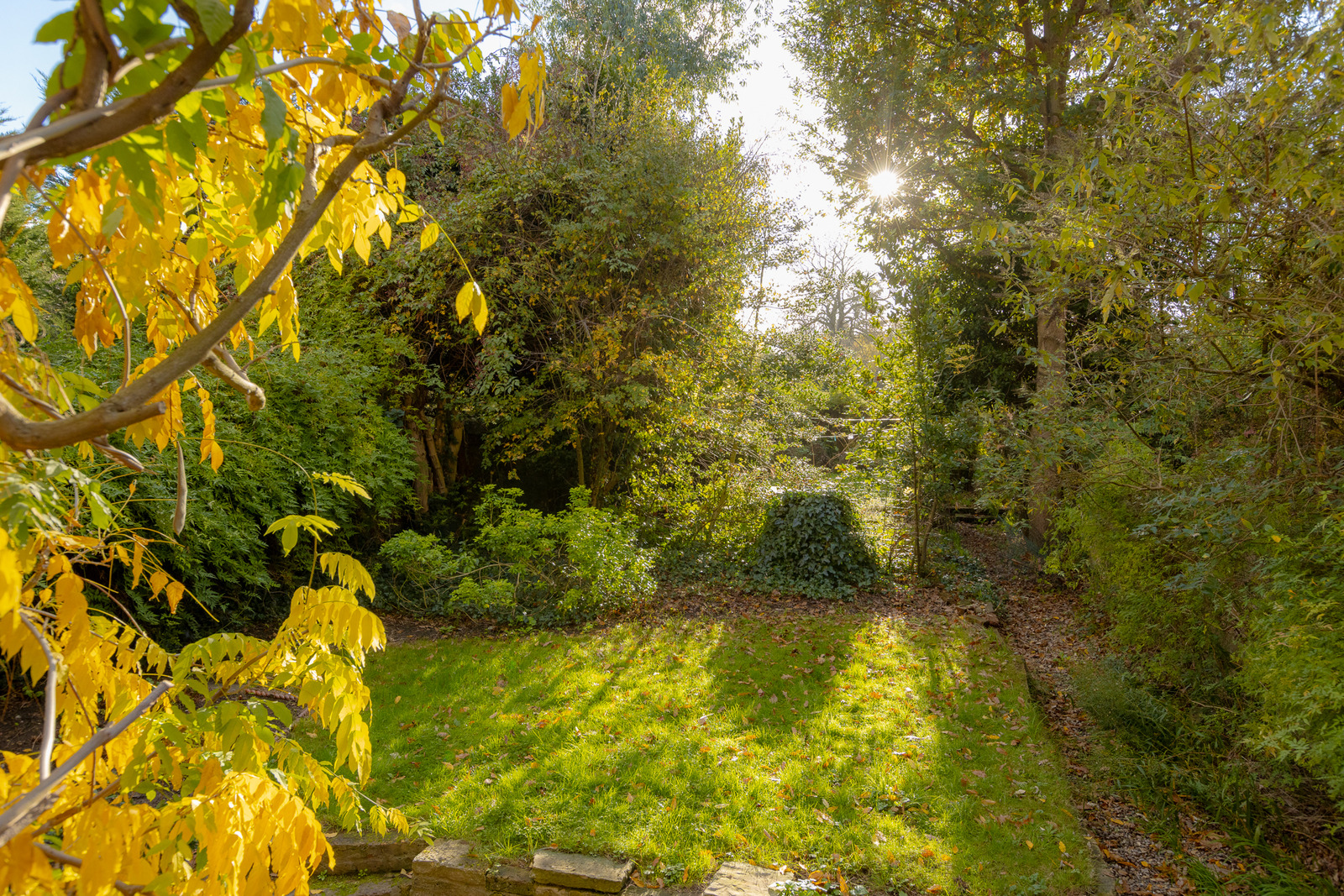 Dulwich Road - Image 3