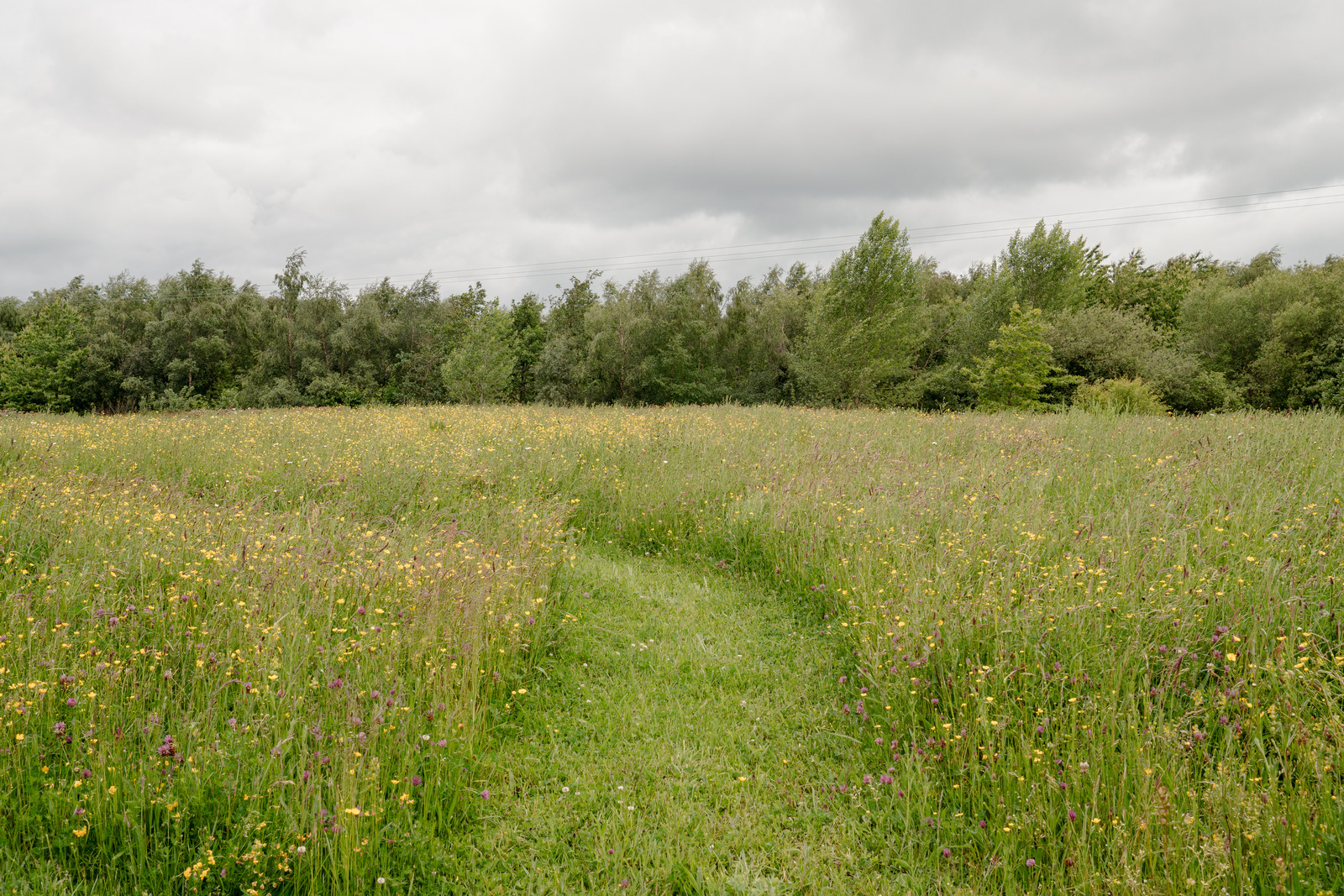 Fronhaul, Cefn Coch, Powys