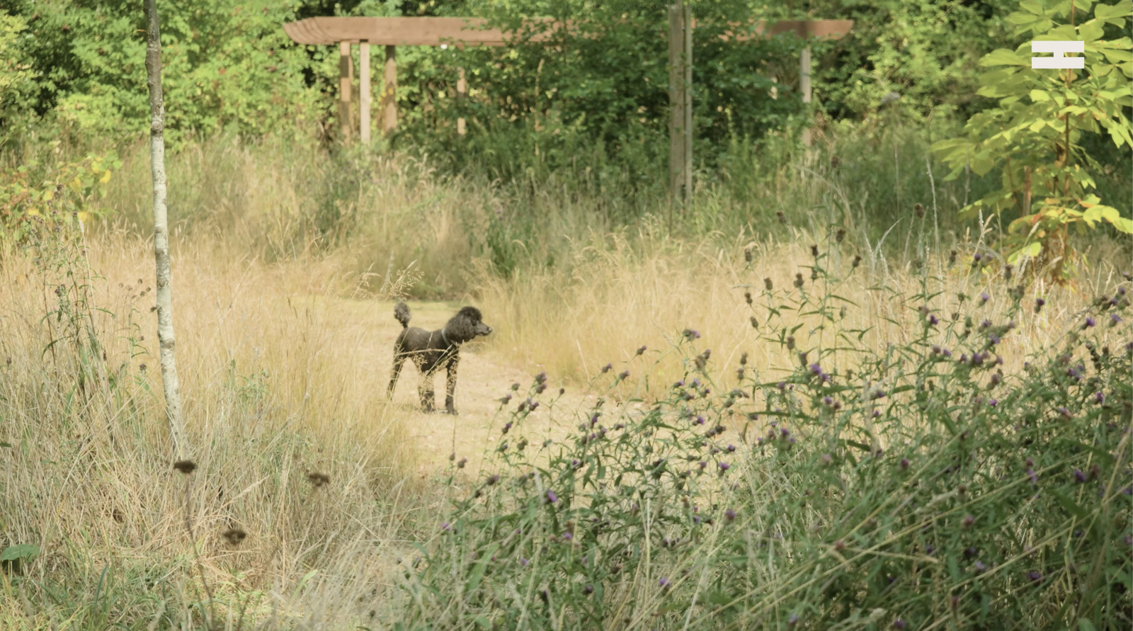 Chris Packham on Neurodiversity, Safe Spaces and Finding Solace in Nature