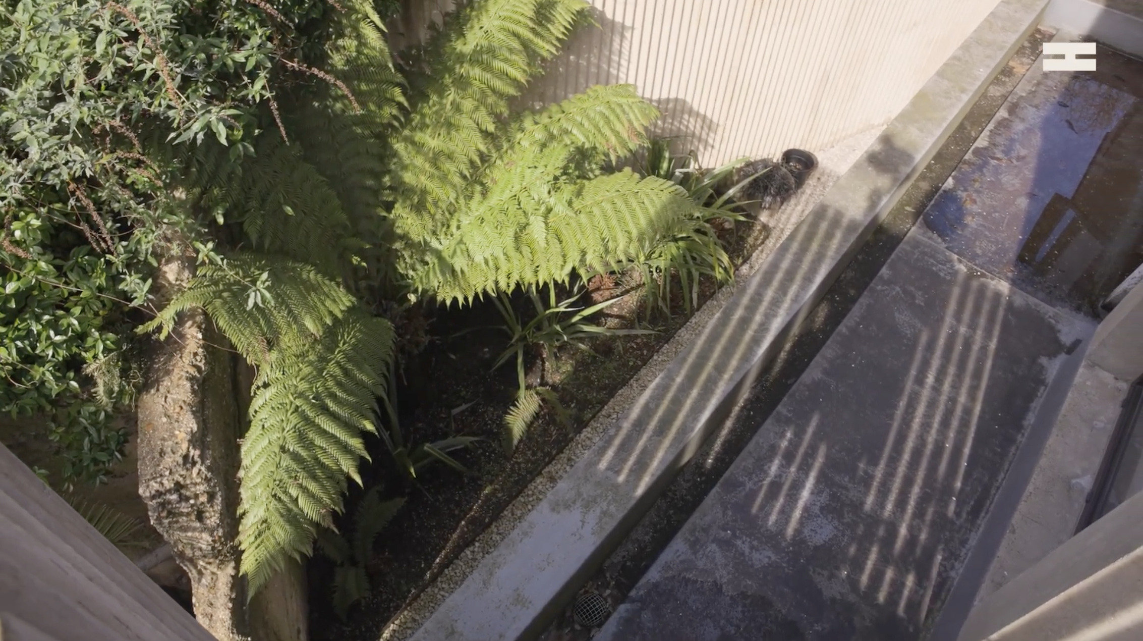 Sue Webster on Punk, the Mole House and the Art of Non-Conformity