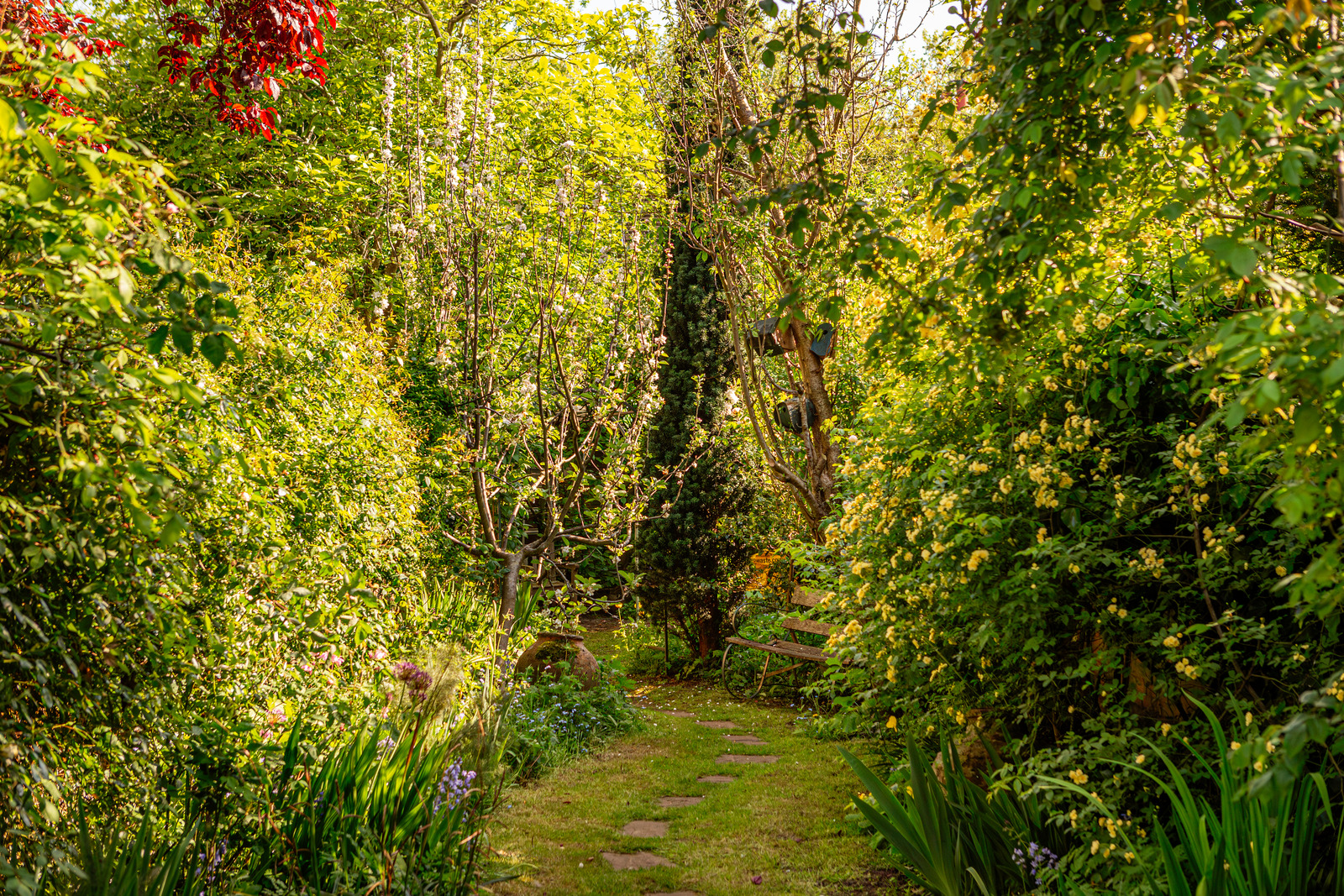 Cassland Road - Image 3