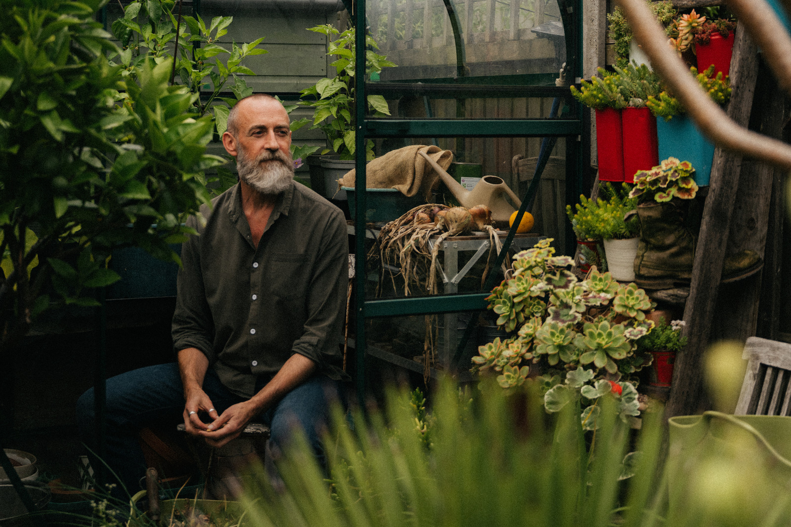 How My Garden Grows: A pint-sized coastal plot thickly cloaked in climbers 